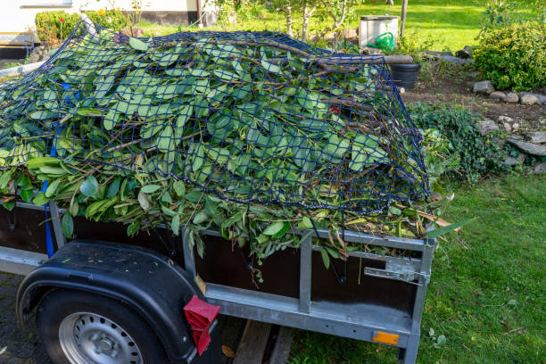 Best Dumpster Rental Services  in Glenwood, IA